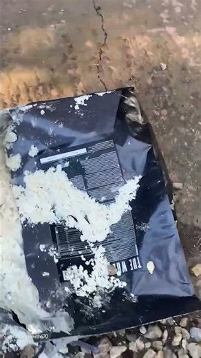 Dog Is Barking Mad For Protein