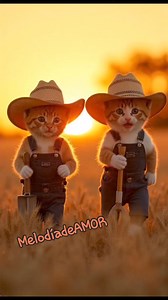 15K views · 490 reactions | Y todo para qué Intocable | Melodía de Amor | Facebook