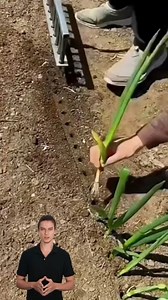 2.6K views | Golden Boot on Reels | Facebook