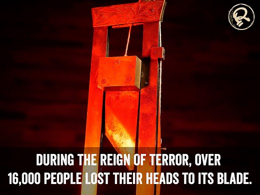 1.4K views · 68 reactions | Toys during the Great Terror included toy #guillotines that children used to decapitate dolls and even live rats. | Ripley's Believe It or Not! | Facebook