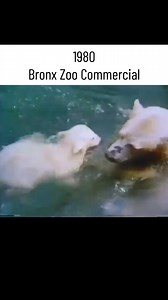 Long Island Commercials of the Past 🎥 Bronx Zoo (1980) #longisland #longislandconnection #longislandbusiness #longislandhistory | Long Island Connection