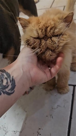 My buddy 🥺🥺 | Wilford Brimley & Crew