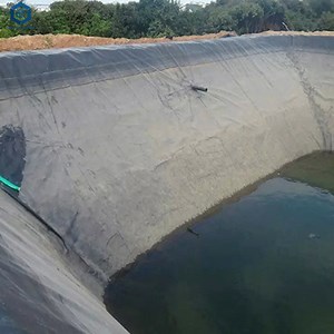 [Hot Item] 1mm HD Smooth Geomembranas HDPE 40 Mils Pavco Geomembrane Fabric for Artificial Lake
