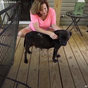 400K views · 1.3K reactions | "She was sweet from the minute we saw her" ❤️ | In The Know Now | Facebook