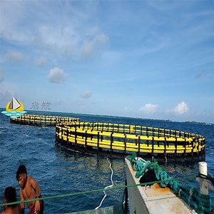 [Hot Item] Floating Fish Cage for Aquaculture Farm Sea Fish Farm Equipment