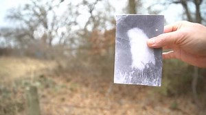 31K views · 93 reactions | Half man, half goat. Seven feet tall. 350 pounds. In the summer of 1969, the legend of the Lake Worth Monster was alive and well: on.wfaa.com/2oZqWmK | WFAA | Facebook