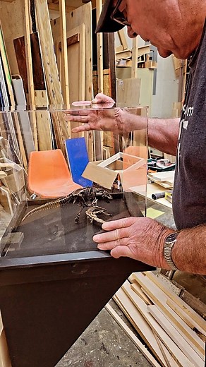 33 reactions | Exhibits preparer Mike takes us #behindthescenes at the museum exhibit shop. See how custom display cases are built and mounted. Want the details? Watch the full tour on The Schiele's YouTube channel. #customwoodworking #museumexhibits #dinosaurdiaramas #letsdothis | The Schiele Museum of Natural History | Facebook