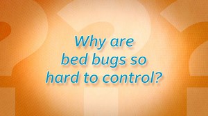 Why are bed bugs so hard to control? Dr. Jim Fredericks, has the answer! Learn more about bed bugs on PestWorld.org. | PestWorld | Facebook