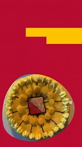 Utrecht University on Reels