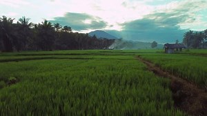 Beautiful Morning View Indonesia Panorama Landscape Stock Footage Video (100% Royalty-free) 3854526495 | Shutterstock