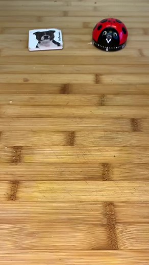 👨‍🍳 Recette : 🍔 croque mcdo 🍟 • pain à burger • Emmental ou cheedar 🧀 • jambon ou dinde 🍗 _ #recette #tiktokfood #recipe #tiktokacademie #mcdonald | Chunky_cooker