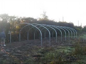 Polytunnel Construction