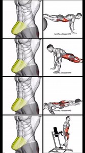 How to lose lower belly fat 🔥 | Fit Pro