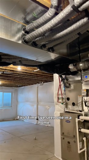 Home Inspection: Hamster Tunnels 😉