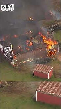 Flames tear through Maryland barn as strong winds push the fire into nearby woods.