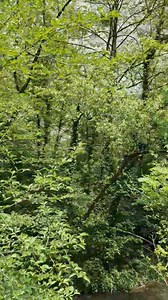 24K views · 795 reactions | Cheile Turzii - Rezervatie Naturala | Frumusetile Romaniei | Facebook