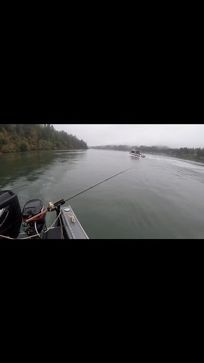 BOAT BITE! #fishing #boat #sttike #fish #trolling #pnw #explorereels #explorepage #outdoors | Brian Stone