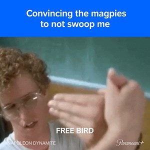 Let us be free magpies #NapoleonDynamite | Paramount
