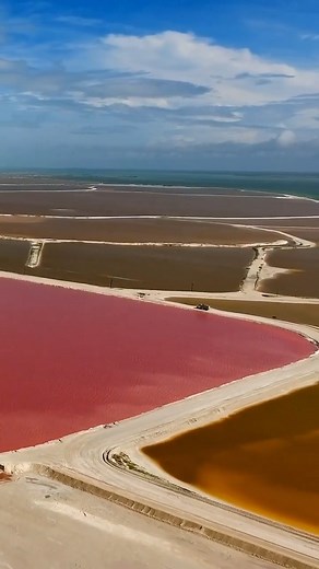 !LAS COLORADAS Y RÍO LAGARTOS! #lascoloradas #coloradas #cancun #riolagartos #pink #mexico #VisitMexico #caribemexicano #Mexico #yucatan | Cancun all Day
