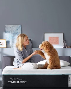 🌙💤 Experience the perfect night's sleep with our selection of mattresses! 🌟✨ Discover a variety of mattress types, from plush memory foam to supportive innerspring, hybrid to adjustable beds. We have the ideal mattress to suit your sleep preferences and provide unparalleled comfort. 💤🛏️ Transform your bedroom into a serene oasis and wake up refreshed and rejuvenated every morning. Visit BrandsMart today and find your dream mattress! 😴🌟 #BrandsMartUSA | BrandsMart USA