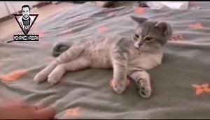 5K views · 35 reactions | طاقتي ايام اجازة العيد : | Mohamed Hassan | Facebook