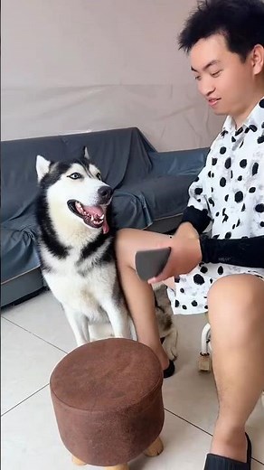 Funniest Short Video Ever 😂 | Try Not to Laugh Challenge