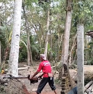 4K views · 18 reactions | Physics Theories on Reels | Facebook