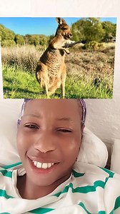 Good night | Amanda Phiri