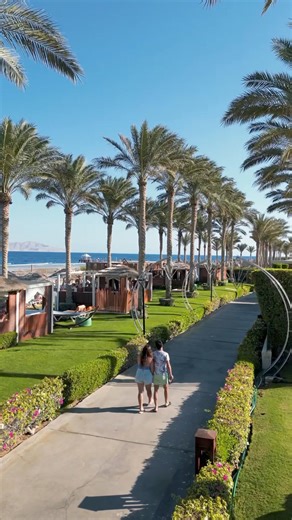 10K views · 198 reactions | Indulge in an adults-only vacation, where tranquility, luxury, and exclusivity create the perfect escape.  #rixosmoments #rixoshotels #rixossharm #sharmelsheikh | Rixos Sharm El Sheikh | Facebook