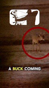 No better feeling than that first sighting. 🦌 Check out the full episode - Link In Bio🫡 | Major League Bowhunter