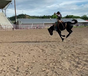 21 reactions | #864 Calypso is the 2022 CMBH Canadian Champion 4/5...
