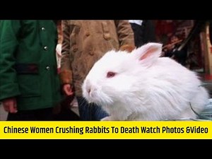 Chinese Women Crushing Rabbits To Death | Watch Photos &Video Of Crush Rabbit Sequel Leaked Video