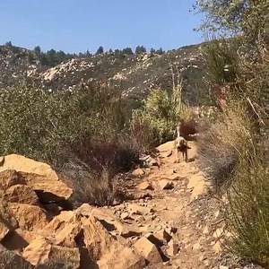 26 reactions · 6 comments | This never gets old. | Barefoot Ted | Facebook