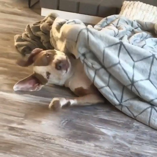 Actual footage of me trying to wake up this morning 😂😴 | VT