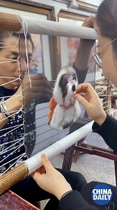#ChinaStory Have you heard of double-sided embroidery? Keep watching for a surprise! | China Daily