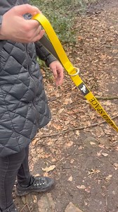 3.6K views · 37 reactions | Have you seen our official Yellow Dog UK...