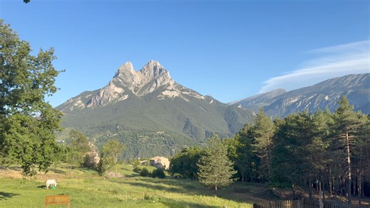 Good morning from the Pyrenees… Beautiful Pedraforca, beautiful birdsong and the clang of cow bells. | Paul Blackthorne