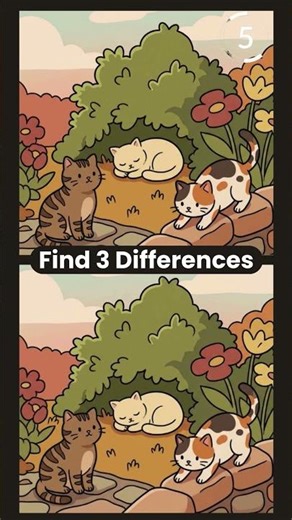 Find The Differences - Adult Brain Gym