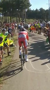 Primož Roglič Wins Stage 19 Of The 2024 La Vuelta Ciclista a España 🇪🇸 #gcn #cyclinglife #cycling #roadcycling #globalcyclingnetwork #bikelife #vuelta | Global Cycling Network