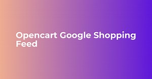 Google Shopping Feeds | Mechandise Search Feed Extension