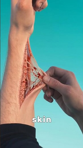 What's ACTUALLY Trapped Inside A Blood Blister?