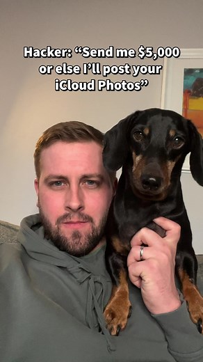 ‘Bah humbug!’ 🎅🏻 ~ Harlso 🐾 | Harlso the Balancing Hound