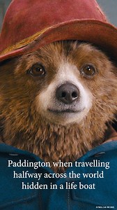 The last one is understandable... | Paddington US