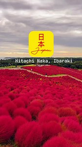 3.3K views · 70 reactions | Hitachi Naka, Seaside Park | Ibaraki Japan ❤️殺 #fyp #japan #hitachinaka #seasidepark #ibaraki #茨城県 #土浦 #日本 #AllAboutJapan #OFWJAPAN #traveljapan #ilovejapan #followformore #videooftheday #reelsoftheday | Rekkisu Vibes | Facebook