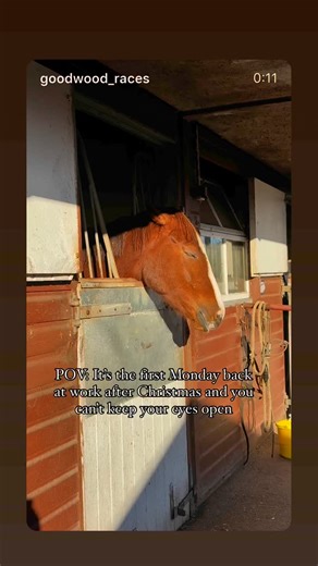 Goodwood Racecourse on Reels