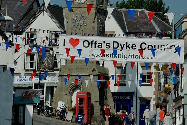 Town council supports plan to remove an agricultural condition on a Knighton cottage