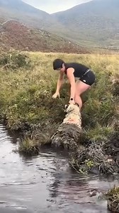 Sheep Rescue | Deep Television