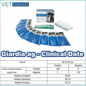 [Hot Item] Giardia Snap Test Canine Giardia Lamblia Antigen Rapid Test