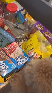 1.5K views · 111 reactions | Fed up with searching for misplaced pantry goods? Our custom pull-out drawers are designed to make your kitchen life easier by keeping everything organized and easily accessible. Say goodbye to the frustration of lost items and hello to a more streamlined and enjoyable cooking experience. Video Credit: @shelfgenie_winston-salem Head to shelfgenie.com today to get started! #ShelfGenie #Neighborly #CustomPullOutDrawers | ShelfGenie | Facebook