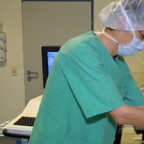 Video: Echocardiographic Measurement of Right Ventricular Diastolic Parameters in Mouse